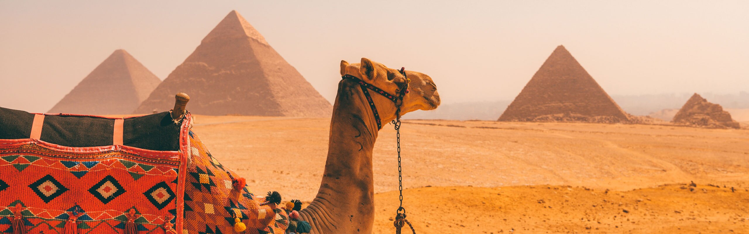 8-Day Egypt Essence with Nile Cruise Tour