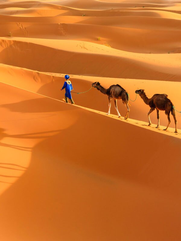 Private Morocco Tours 2024/2025 Personalized and Stressfree